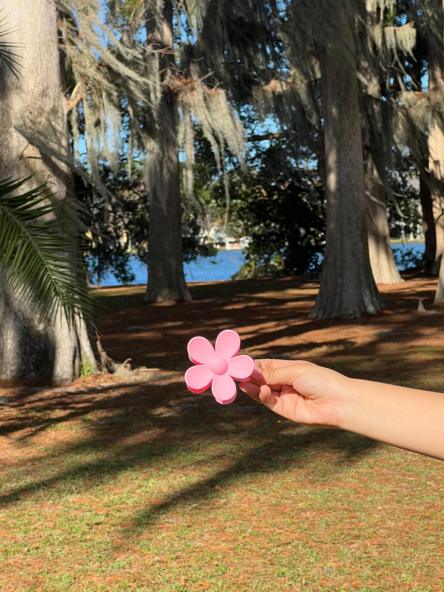 Daisy Flower Clip