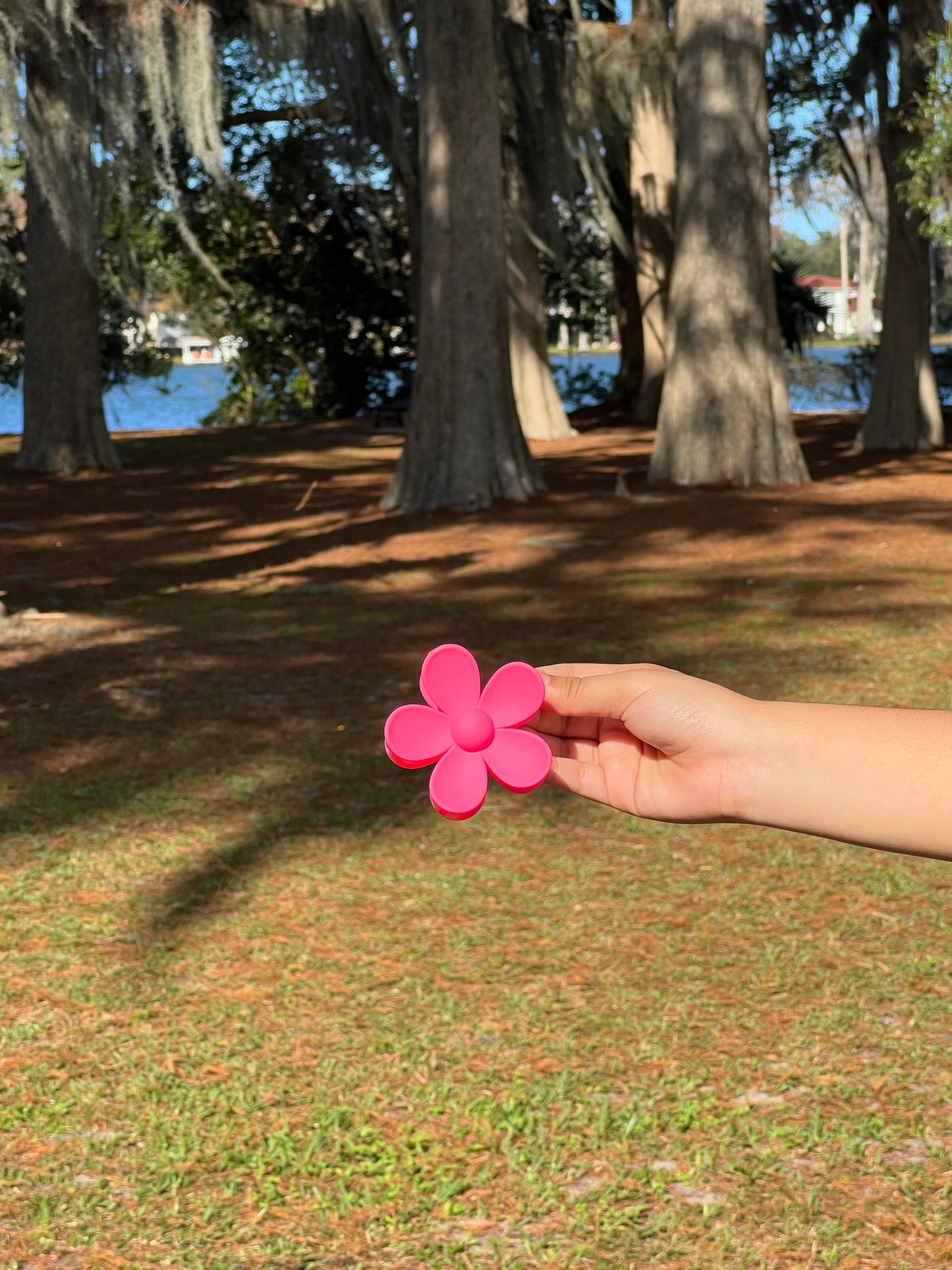 Daisy Flower Clip