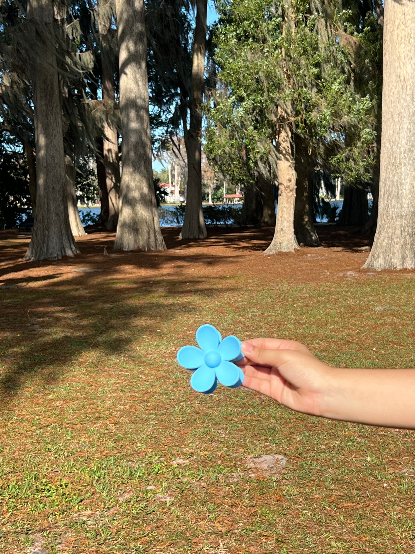 Daisy Flower Clip