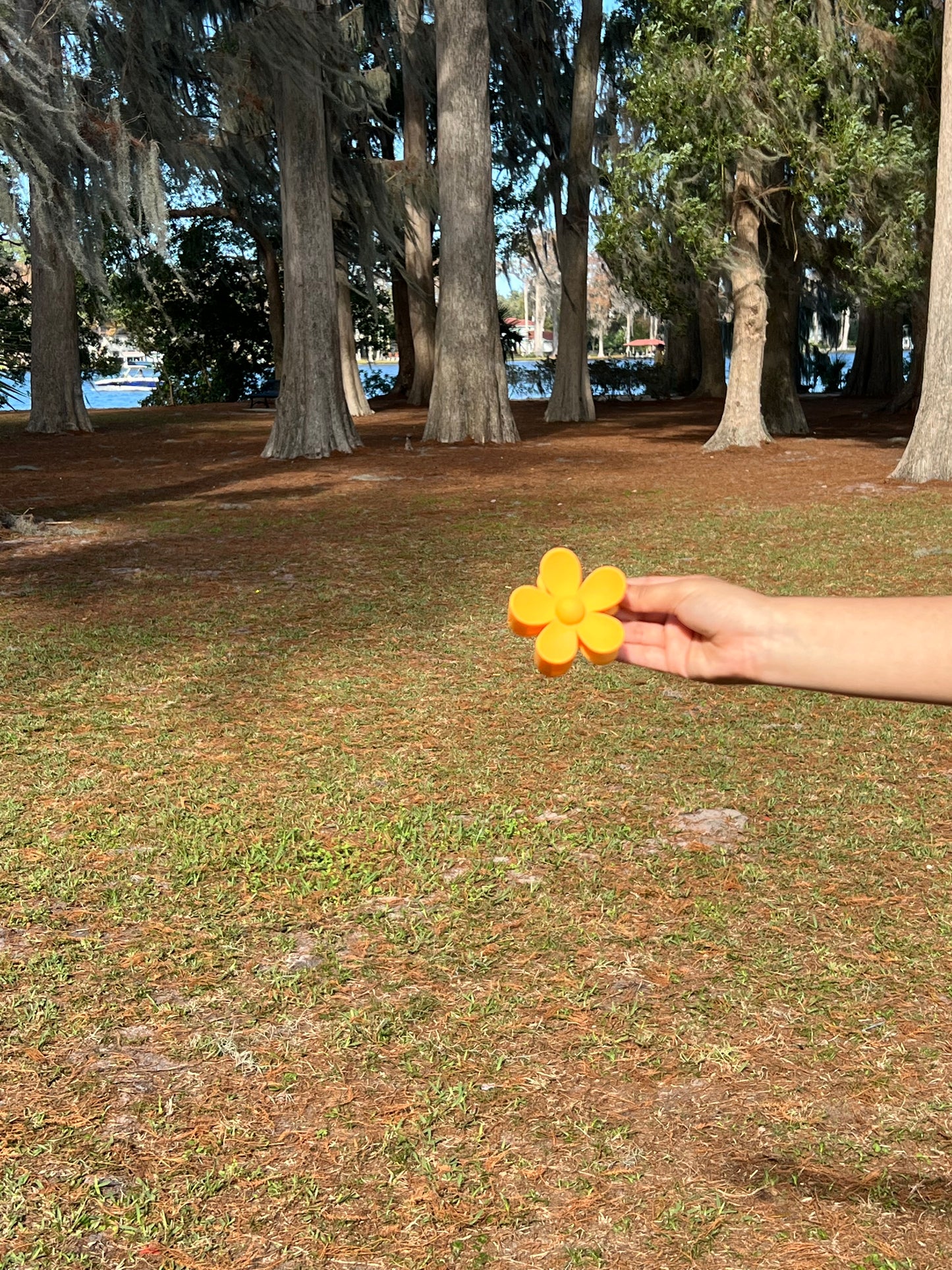 Daisy Flower Clip