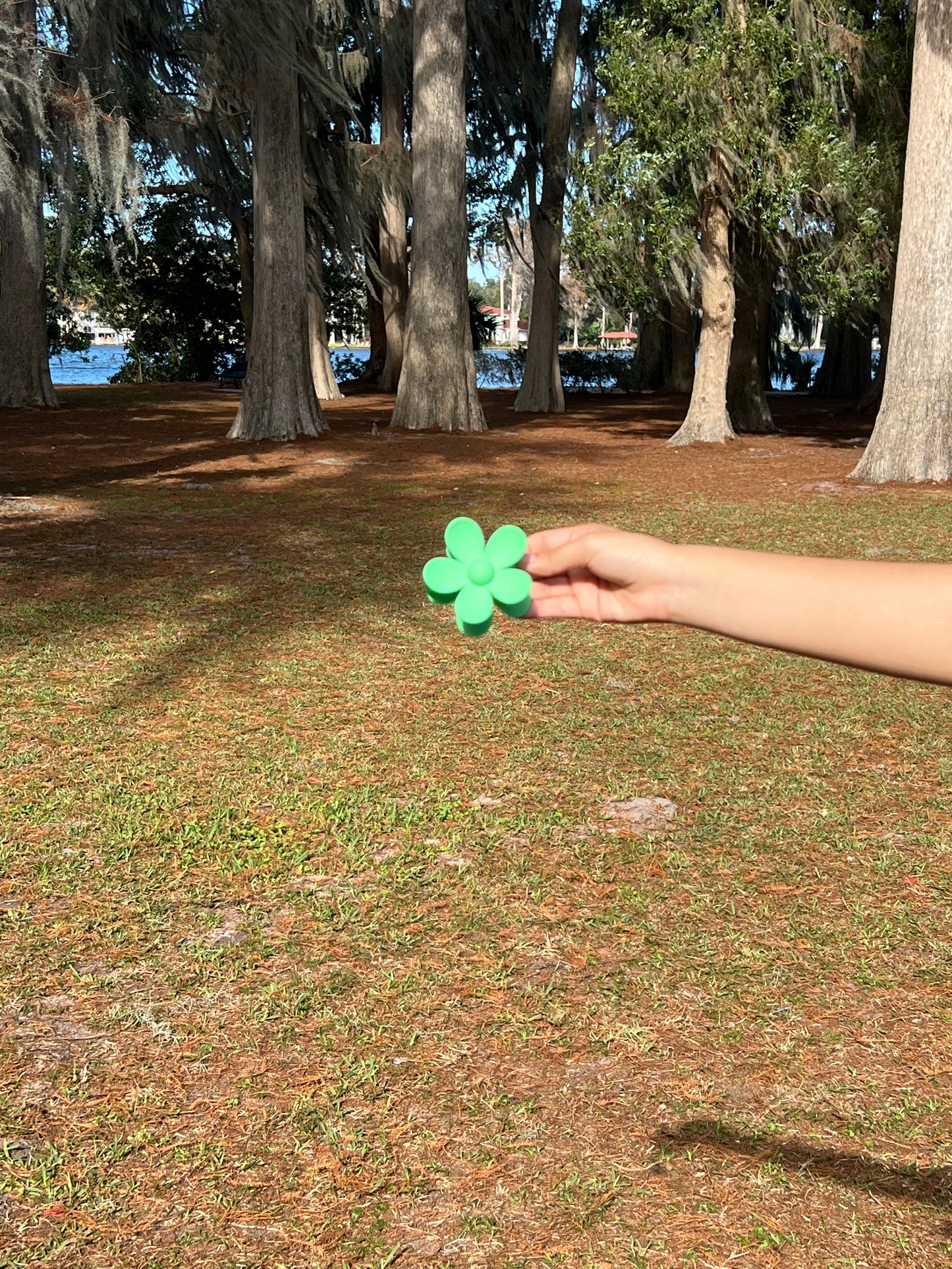 Daisy Flower Clip