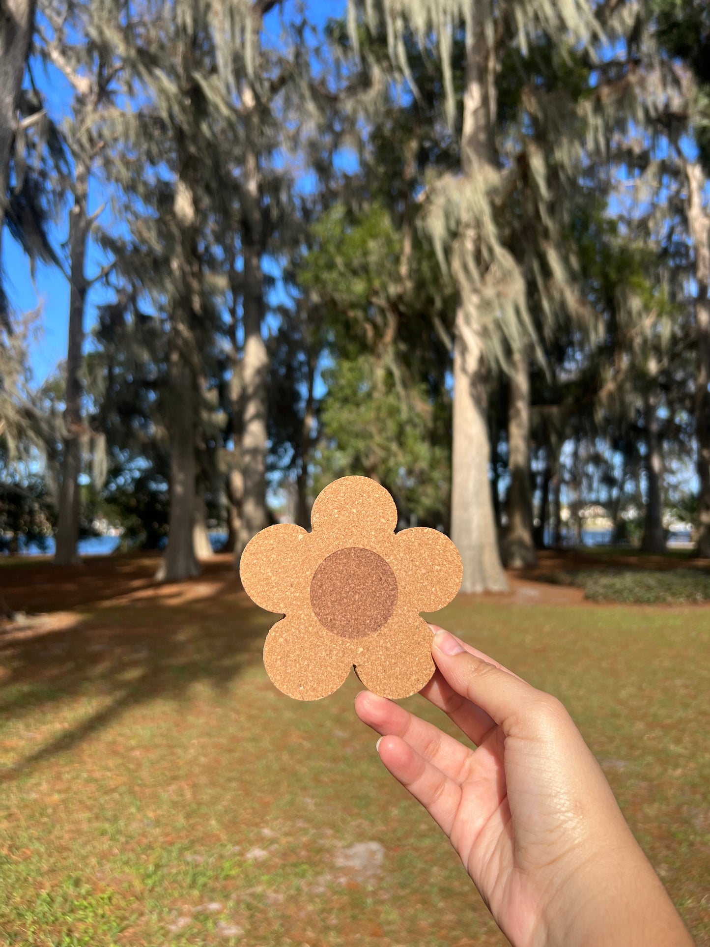 Flower Coaster